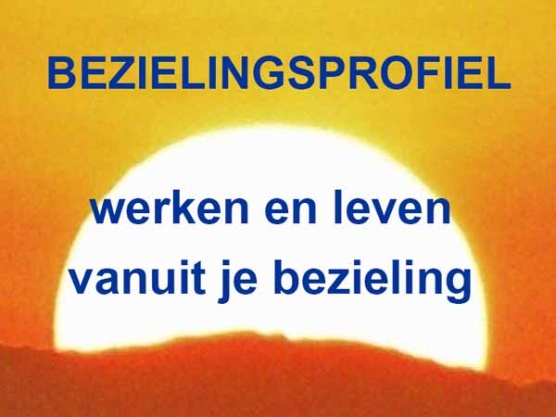 bezielingsprofiel_211102781