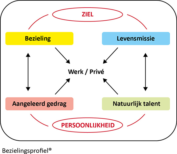 bezielingsprofiel versie boek