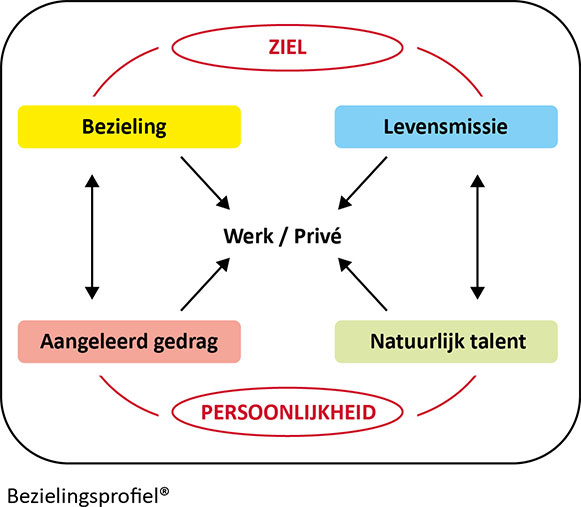 bezielingsprofiel versie boek